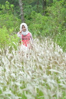 POS 1 Pendakian gn Slamet via gn malang